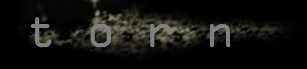 torn, twisted, ripped, shredded, ruined